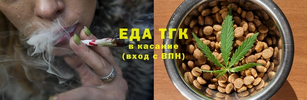тгк Абаза