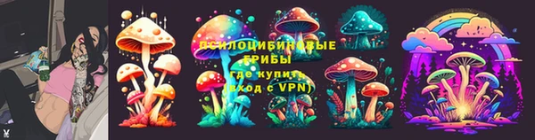 тгк Абаза