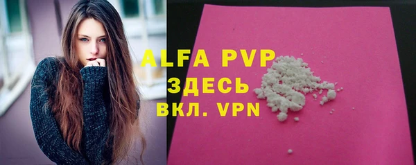 тгк Абаза
