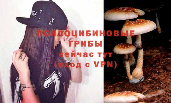 дмт Гусиноозёрск