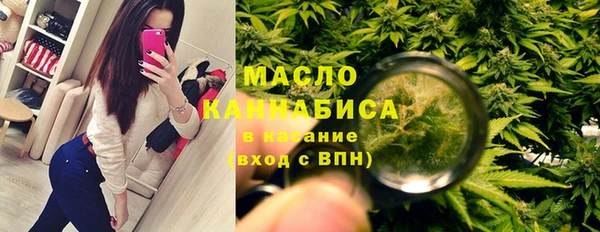 тгк Абаза