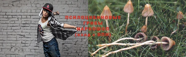 тгк Абаза