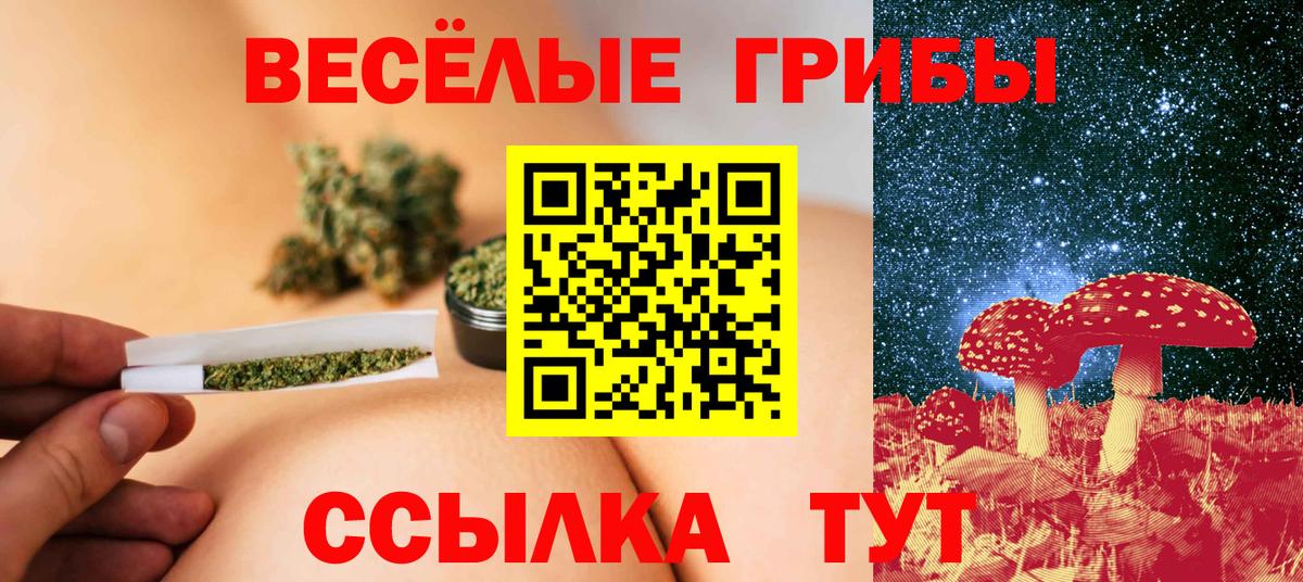 Псилоцибиновые грибы Cubensis Зеленодольск