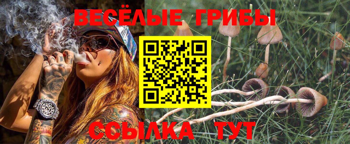Галлюциногенные грибы мухоморы  Вход с VPN  Галлюциногенные грибы мухоморы  Зеленодольск 