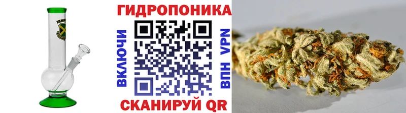 наркота  Зеленодольск  Канабис индика 